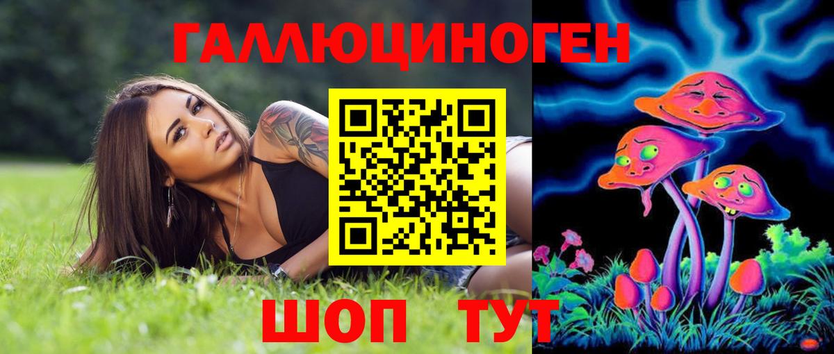 Галлюциногенные грибы прущие грибы Кызыл