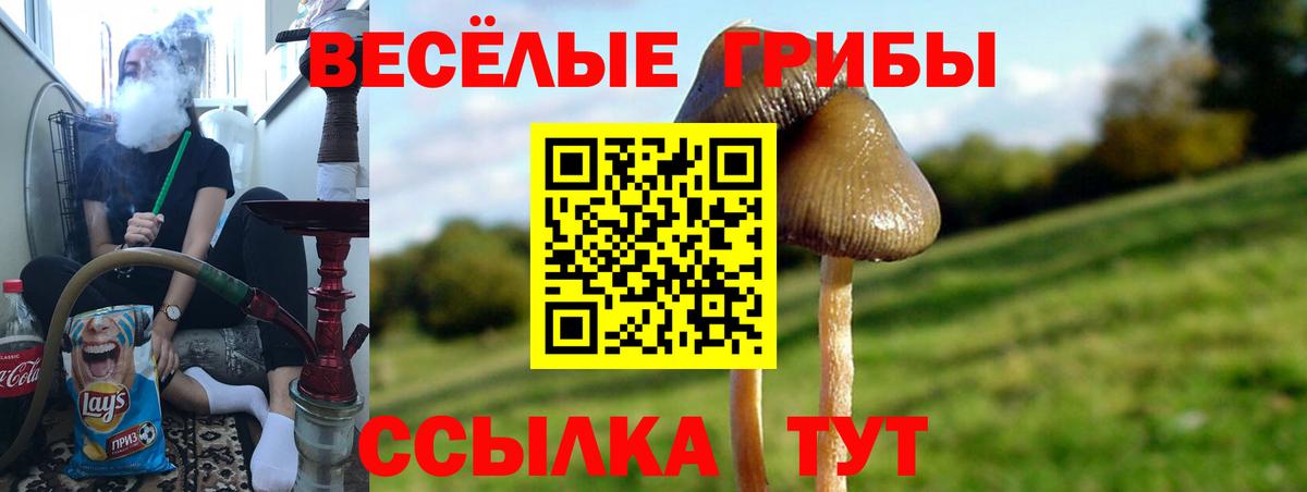 Кызыл  Псилоцибиновые грибы мухоморы  Вход с VPN 